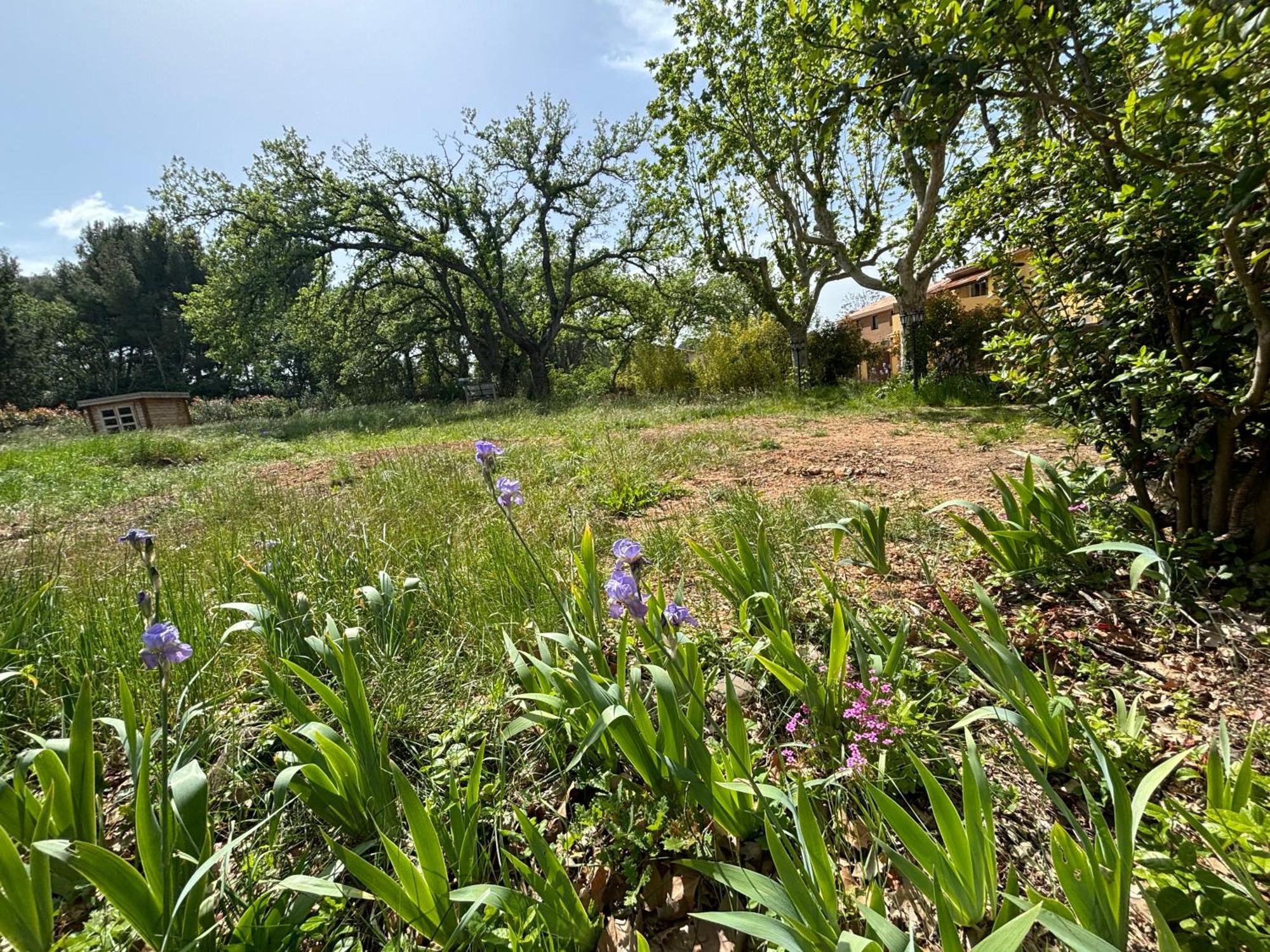 Havre De Paix Au Sein D'Un T3 D'Une Bastide Aixoise Aix-en-Provence Exteriör bild